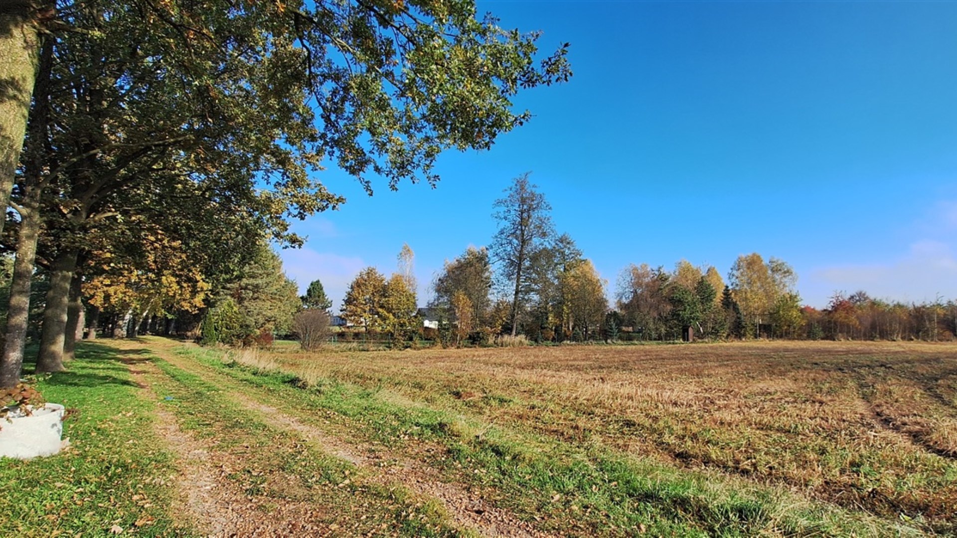 Działka na sprzedaż