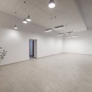 Lokal na wynajem